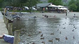 Lunch at Coniston Landing, with more ducks than we have ever seen in one place